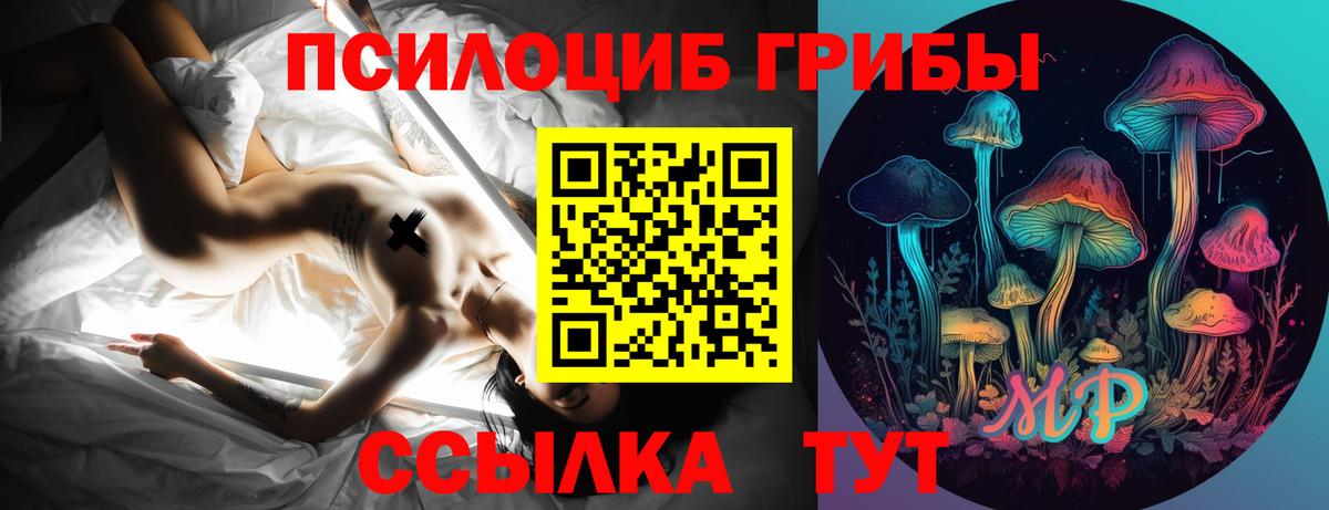 Галлюциногенные грибы Cubensis Красноармейск